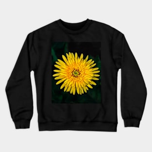 Yellow Harmony Crewneck Sweatshirt